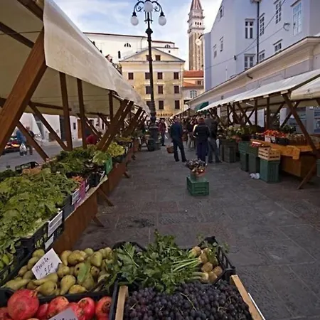 In Der Altstadt Von Mit Herrlichem Ausblick Und Garten *